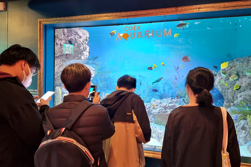 돌과 수초, 각종 작은 물고기가 가득한 커다란 어항이 있고, 네 명의 관람객이 이것을 들여다 보거나 휴대폰으로 사진을 찍고 있다. 