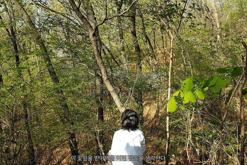 햇살이 비치는 울창한 숲을 배경으로 흰 셔츠를 입은 인물이 등을 돌린 채 숲을 응시하고 있다. 화면 하단에는 “이 꽃잎을 받아먹을 어린 짐승을 생각한다”라는 자막이 적혀 있다.